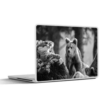 Produktbild von MuchoWow® Laptop Aufkleber Sticker Cover Braunbär im Sonnenlicht - schwarz und weiß 40x30 cm - Laptop Dekoration - Selbstklebend