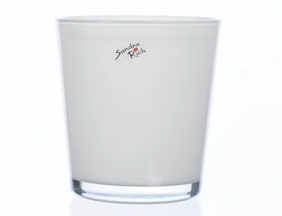 Obrázek produktu pro Sandra Rich Orchid Kübel m.Ring d.12,5cm krémová