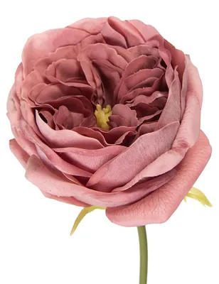 Productafbeelding van Clayre & Eef Kunstbloem Roos, 43 cm, roze, kunststof