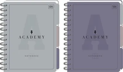Zdjęcie produktu dla Kołozeszyt A5/100K kratka Academy (5szt)