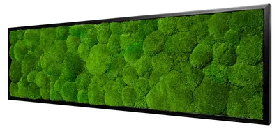 Produktbild von Moosbild Ball Design (100x35, schwarz)