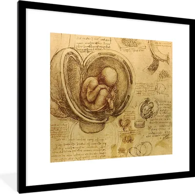 Produktbild von MuchoWow® MuchoWow® Gerahmtes Poster Leonardo da Vinci 40x40 cm - Poster mit zchwarzem Bilderrahmen - Poster - Plakat im Rahmen