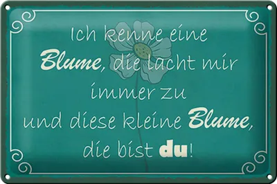 Produktbild von Blechschild Spruch 30x20cm ich kenne eine Blume die bist du