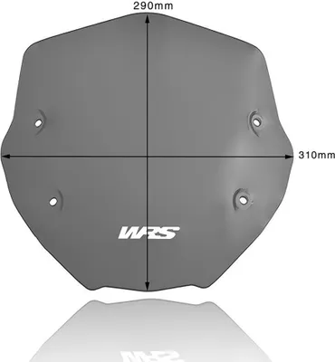 Image de Wscrn Sport R1250R Dsmk