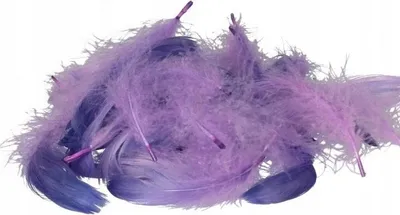 Productafbeelding van Paars-violette veertjes, 10-12 cm, verpakking van 50 stuks.