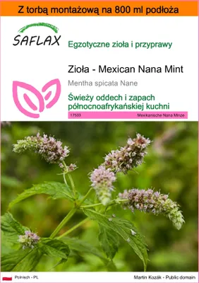 Zdjęcie produktu dla SAFLAX - Garden in the bag - Zioła - Mexican Nana Mint - 500 Nasiona - Z podłożem uprawowym w praktycznej, samorozkładającej się torbie - Mentha spicata Nane