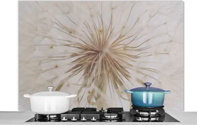 Obrázek produktu pro KitchenYeah® Splashback kitchen - Kuchyňský splashback - Ochrana stěny sporáku a dřezu - Květiny - Pampeliška - Design 120x80 - Alu-Dibond (alternativa ke skleněnému splashbacku) - Tepelně odolný - Splashback na sporák - Kuchyňský splashback