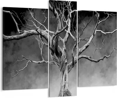Produktbild von Bild auf Leinwand - Leinwandbild - 3 Teile - Schwarzweiß Äste Rauch - 95x80cm - Wand Bild - Wanddeko - Wandbilder - Leinwanddruck - Bilder - Wanddekoration - Leinwand bilder - Wandbild - CB95x80-4346