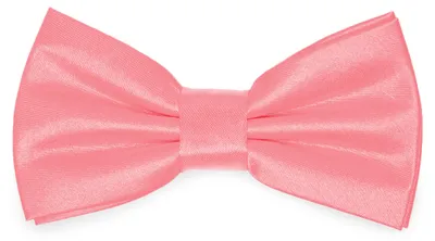 Produktbild von Ladeheid Kinder Jungen Fliege - Vorgebunden Glänzende BKS (10cm x 5cm)