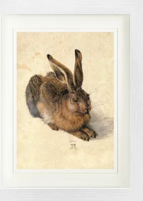 Produktbild von Albrecht Dürer Gerahmtes Bild Mit Edlem Passepartout | Wand-Bilder | Im Bilderrahmen - Junger Feldhase, 1502 (40 x 30 cm)