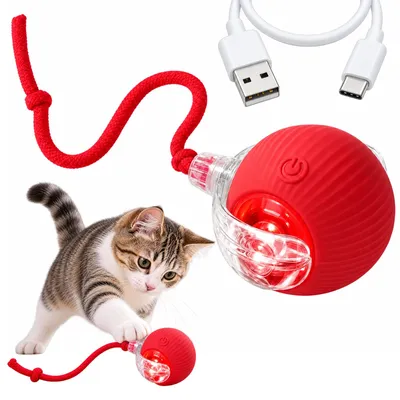 Produktbild von Interaktiver Katzenball Hundeball USB Spielball mit Seil Automatischer Ball für Katze und Hund Rot