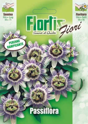 Produktbild von Passionsblume | Passionsblumensamen von Flortis