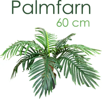Produktbild von künstliche Pflanze, als Deko Wohnzimmer, Kunstpflanzen groß, Plastik wie echt, Decovego, Auswahl Palme Pflanze:Palme Modell 19 (Palmfarn 60 cm)