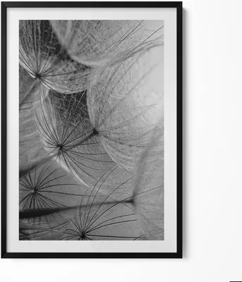 Produktbild von Schwarz-weiße Nahaufnahme einer Schmeißfliege– Wandbild mit Rahmen – Gerahmtes Bild  – Wanddekoration – 70x100 cm –  Schwarz Rahmen