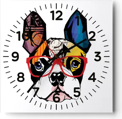 Produktbild von Wanduhr - Quadrat - Glasuhr - Hund Brille Bunt Bulldogge - 30x30cm - Schleichendes Uhrwerk - Lautlos - zum Aufhängen bereit - Dekoration Modern - Wanddekoration aus Glas - C4AC30x30-3206