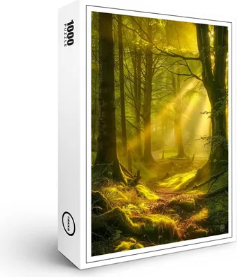 Produktbild von raxxa Premium-Puzzle "Zauberlicht", 1000 Teile