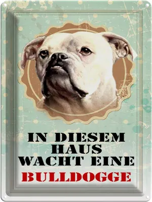 Produktbild von vianmo Blechschild 40x30 cm Hund in diesem Haus wacht Bulldogge