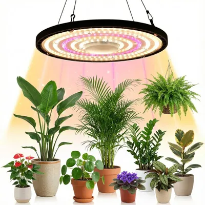 A collection of houseplants under a grow light.