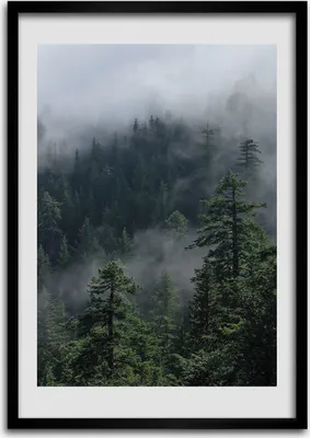 Produktbild von Bild - Bilderrahmen - Foto - 70 cm x 100 cm - MDF - Rahmen - Wandkunst - Nebel über dem Wald