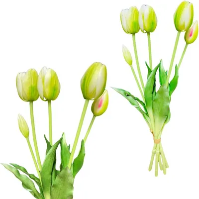 Immagine prodotto di Tulipani verdi - bouquet di gomma con tulipani 39 cm Real Touch colore 15