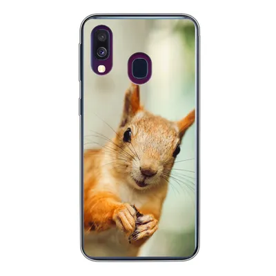 Produktbild von MuchoWow® Handyhülle Schutzhülle Hülle für Samsung Galaxy A40 Eichhörnchen - Lustig - Nuss - Kinder - Jungen - Mädchen - Kind Silikon Softcase Handy Hülle - Handy-Tasche