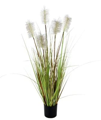 Immagine prodotto di Omgoods - Pampas, un tocco artistico in vaso