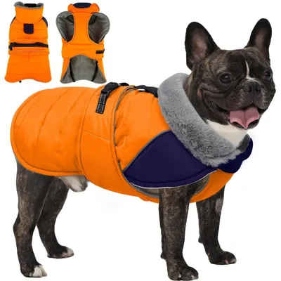 Immagine prodotto di Cappotto impermeabile e caldo per cani, colore arancione, taglia M