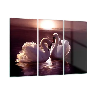 Produktbild von Bilder auf glas - Schwäne Landschaft Wasser - 165x110cm - Glasbilder - Wandbilder - Kunstdruck - zum Aufhängen bereit - Wanddekoration aus Glas - Glas Bilder - Wandbild auf Glas - GCE165x110-0223