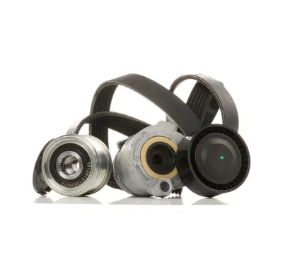 Produktbild von RIDEX 542R0383 Keilrippenriemensatz für RENAULT CLIO II (BB0/1/2, CB0/1/2)
