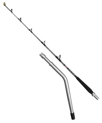 Immagine prodotto di Penn Ally II - Canna da traina elettrica con mulinello a rullo e punta ribaltabile - Argento 1,80 m / 30-65 libbre - Argento 1,80 m