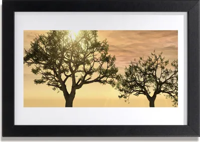 Produktbild von Bild 30x20 MDF-Rahmen Wandkunst Bäume Natur