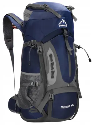 Produktbild von Trekkingrucksack Springos 60 l für Ausflüge, Molle, Nils Vent System Plus