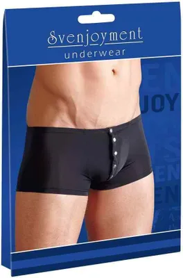 Produktbild von Svenjoyment - Herren Pants
