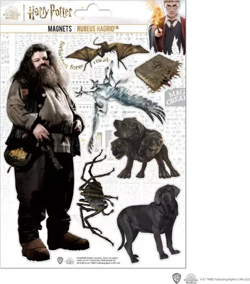Produktbild von Harry Potter Hagrid Kühlschrankmagnet