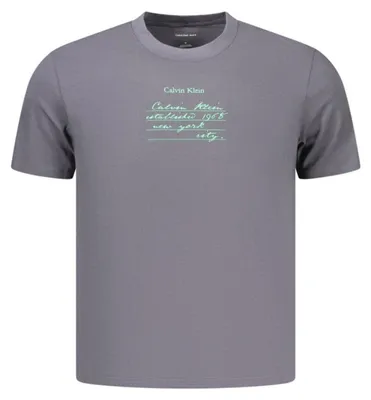 Produktbild von Kurzarm Herren T-Shirt in Grau mit Aufdruck und Rundhalsausschnitt
