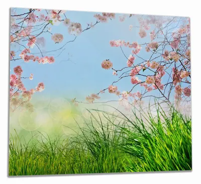 Produktbild von Wallario Herdabdeckplatte aus Glas, Größe 60 x 52 cm 1-teilig, Motiv Kirschblütenzweige und grüne Wiese- Frühling