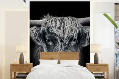 Produktbild von MuchoWow® Fototapete für Wohnzimmer oder Schlafzimmer Wandtapete Vinyl Motivtapete Schottischer Highlander - Schwarz - Kuh - Tiere - 175x240 cm - Schlafzimmertapete