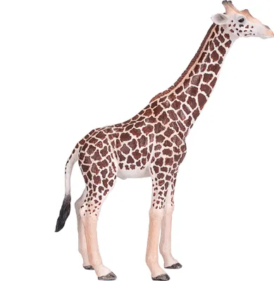 Zdjęcie produktu dla Mojo Fun Giraffe Male, 3 lat(a), Wildlife, Brązowy, Żółty, Polichlorek winylu (PVC)