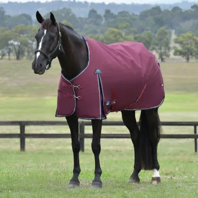 Produktbild von Weatherbeeta Weidedecke in Größe 165 - Comfitec Essential Turnout 100g - Burgundy/Navy