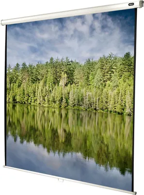 Produktbild von CELEXON Leinwand Rollo Economy 220x220cm