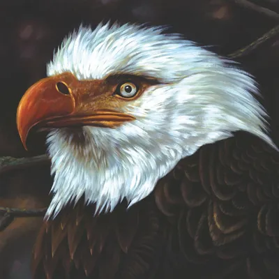 Obrázok produktu pre Mogwai - The Hawk Is Howling (Limited Edition) (White Coloured) (2 LP)