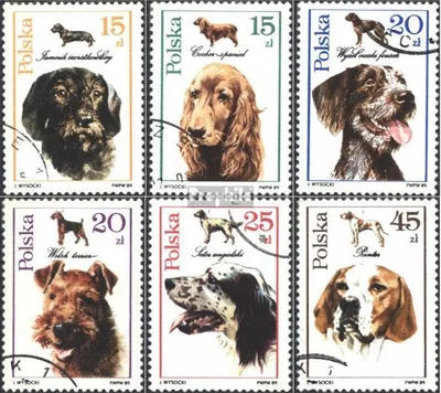 Produktbild von Briefmarken Polen 1989 Mi 3197-3202 (kompl.Ausg.) postfrisch Hunde
