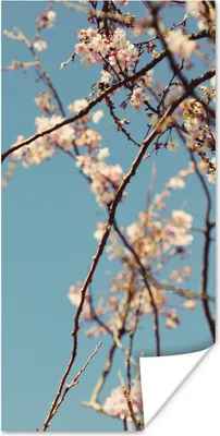 Produktbild von MuchoWow® Poster Blüte 20x40 cm - Plakat - Foto