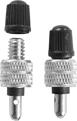 Image de Valves de vélo Dunlop 2 unités Argent Argent One Size