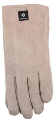 Produktbild von Gefütterte Winter Damen Handschuhe » Winterhandschuhe Suede mit Teddy Innenfutter » Fingerhandschuhe mit Touchfunktion: Beige Farbe: Beige