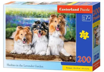 Obrázok produktu pre CASTORLAND puzzle 200 dielikov - Šeltia v levanduľovej záhrade