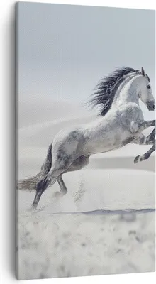 Produktbild von Bild auf Leinwand - Leinwandbild - Pferd Tier Natur - 45x80cm - Wand Bild - Wanddeko - Wandbilder - Leinwanddruck - Bilder - Kunstdruck - Wanddekoration - Leinwand bilder - Wandkunst - PA45x80-3644