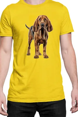 Immagine prodotto di Maglietta da uomo Dogs Breeds Bloodhound Dog Breed 005, Man M , Jaune