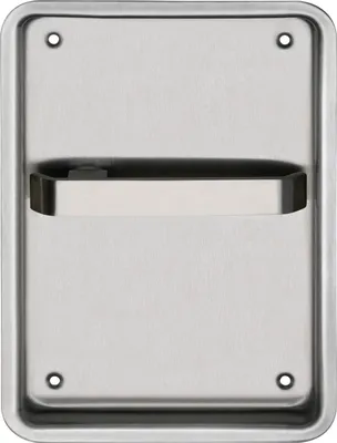 A close-up, front-facing view of a stainless steel door handle plate.