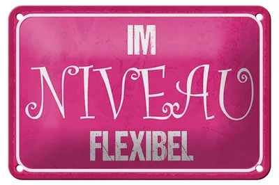 Produktbild von Blechschild Spruch 18x12cm Im NIVEAU flexibel
